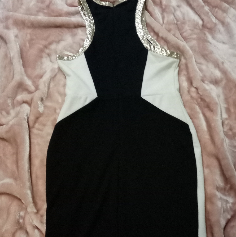 Dress - Picture 3 of 4
